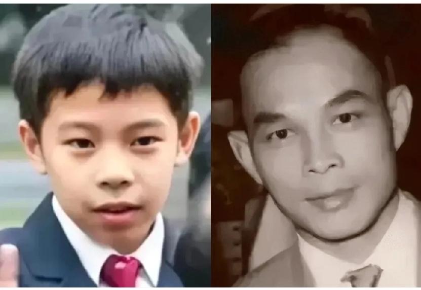 终于回过味儿来了！霍家培养霍中曦的关键，藏在“基因复制”里之前纳闷孩子不