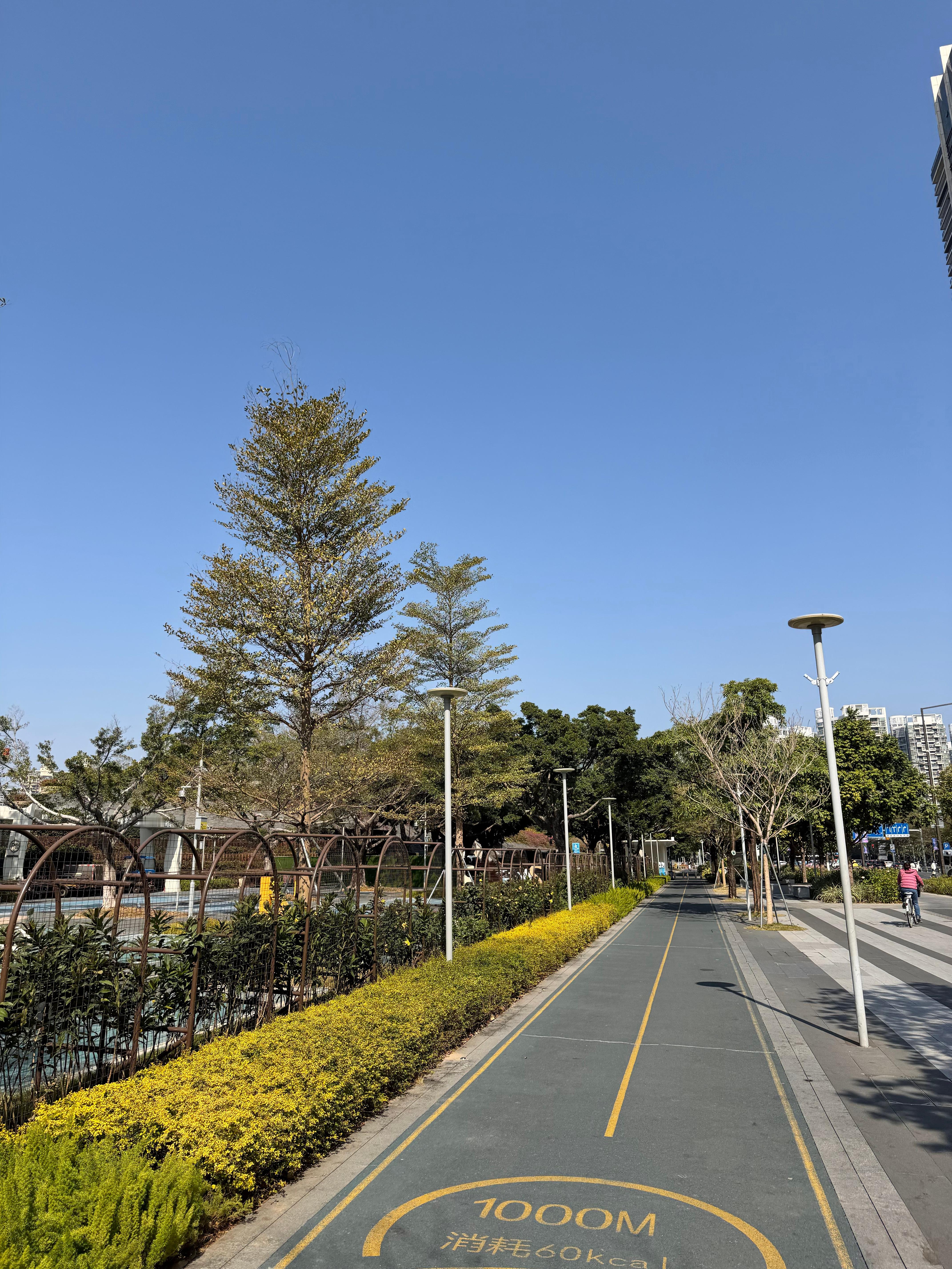 个位数温度的深圳，刮起风是真冷啊💨深圳·深圳前海华侨城JW万豪酒店