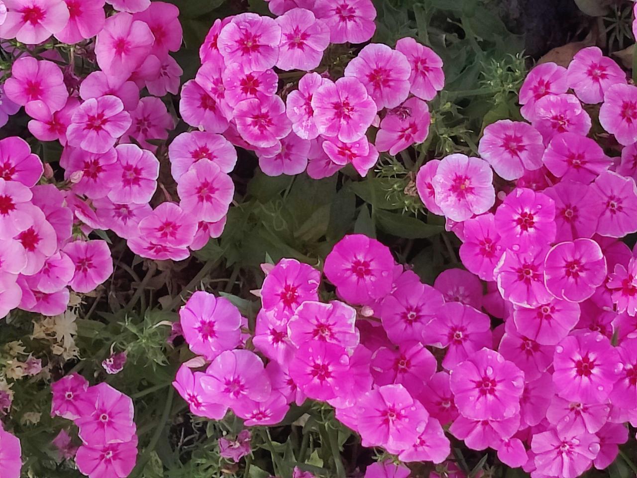 高层点名曝光基层报刊征订摊派，预示着新一轮事业单位改革已经箭在弦上。报刊征订是一