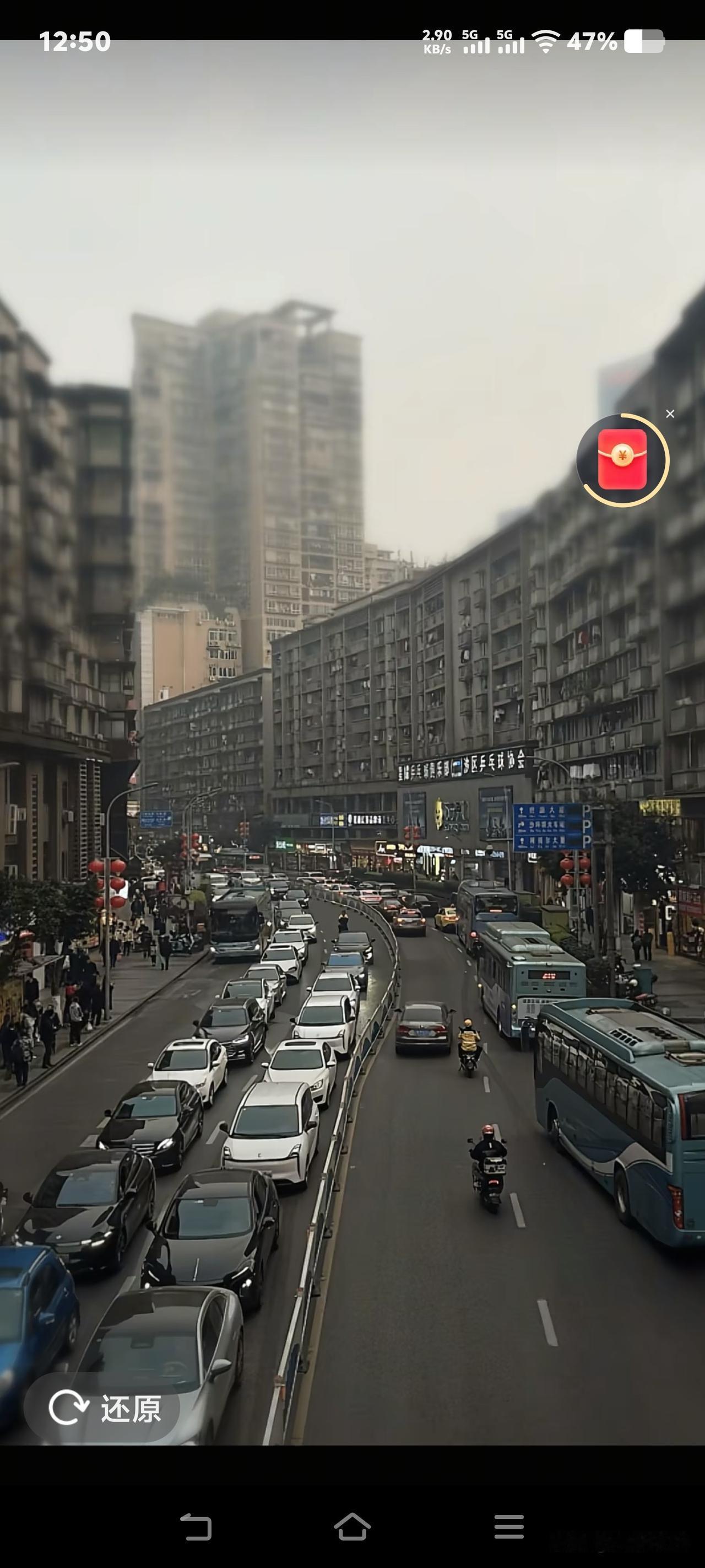 合川呆呆更新视频啦！好友网友都收到呆呆回复了！今天呆呆在重庆沙区陈家湾三