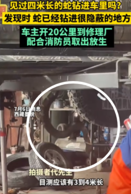 “这操作真够疯的！”重庆，一女子失恋后，跟刚认识不到2小时的男子发生关系，仅过7