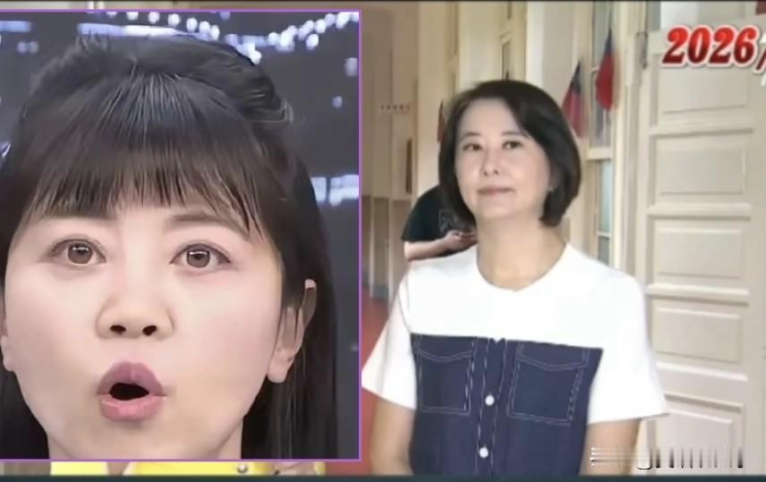 高嘉瑜又被王鸿薇怒呛:一个自以为是的无脑女人，台风吹倒一棵树都要拿来炒作一番，你
