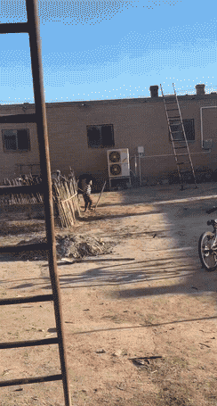 这谁能忍住不踩啊