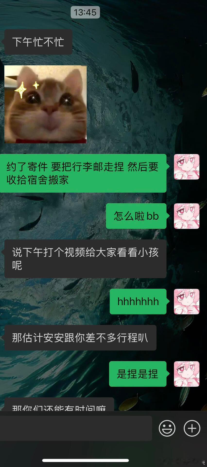 许久未联系的朋友突然要求分享她孩子的照片。