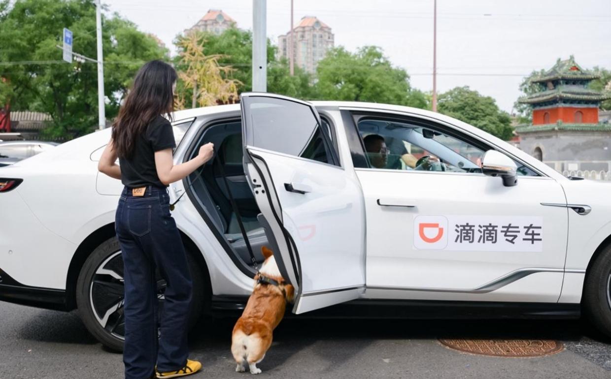 近期一位网约车司机王某（化名）遭遇了一个极其奇葩的顾客，顾客上车后的举动让他哭笑