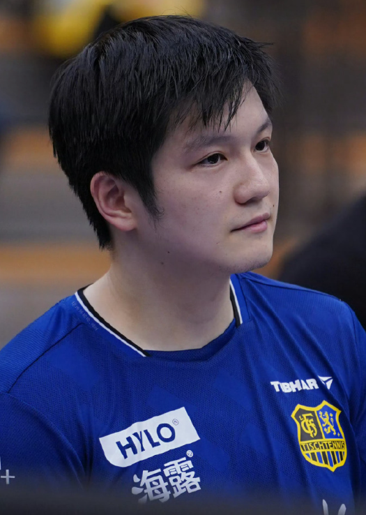 没有所谓三剑客，其实是四大天王，之后就是龙胖争霸，樊振东一直在这十年被刻意隐去了