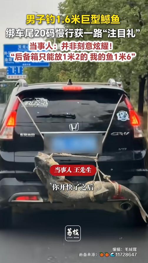 “绝对是故意的！”8月12日报道，湖北武汉，有网友发现，路上一辆车后面绑了条大鲶