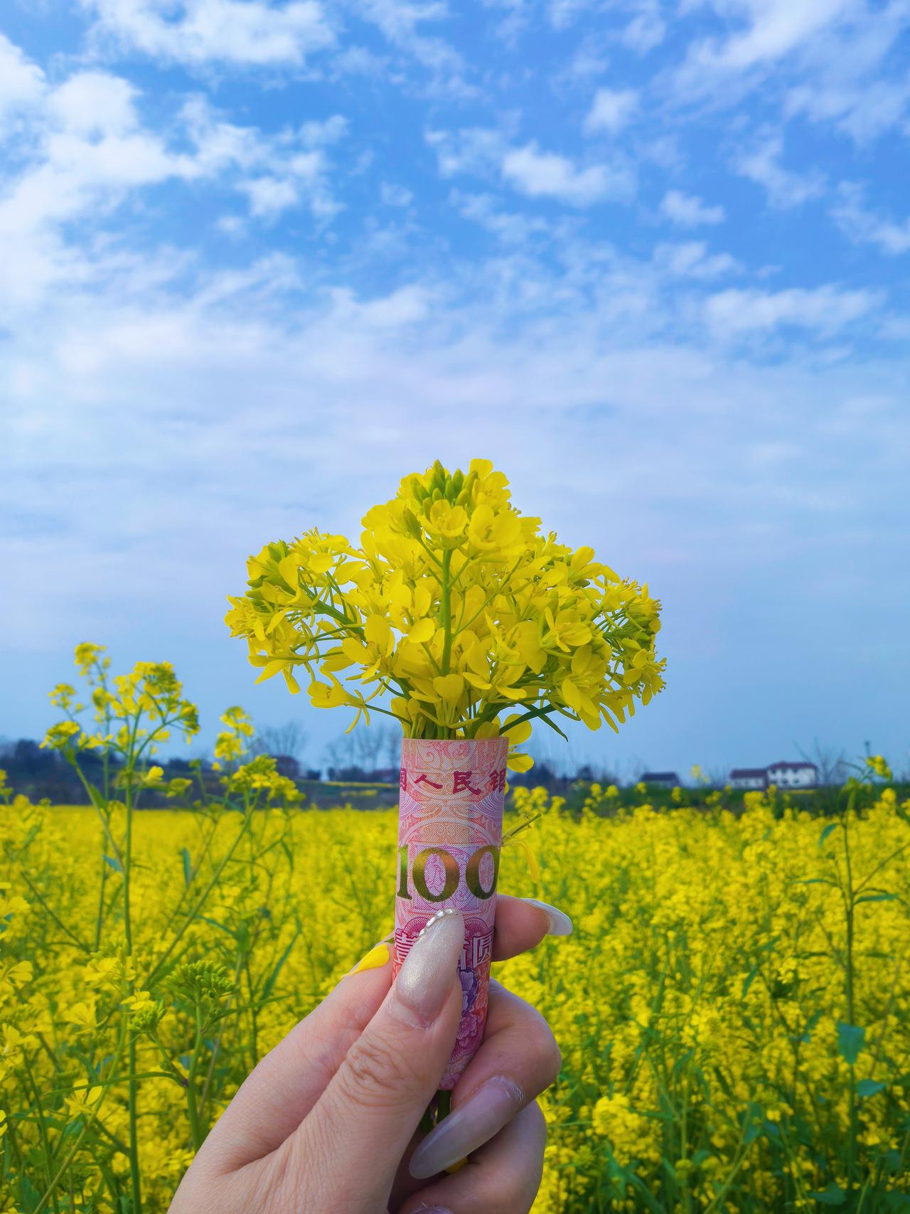 发一张你相册最近拍的花你不必是一朵花，不用开给谁看，你只管自在发芽，肆意生长，做