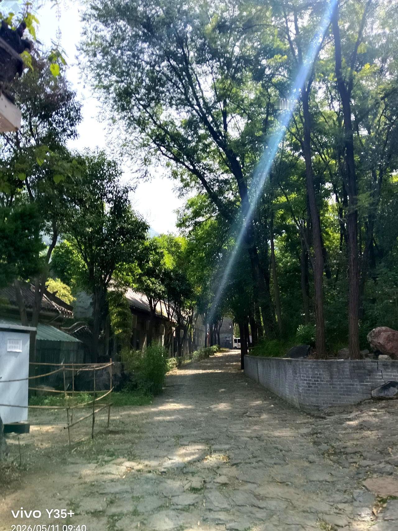 我们小区也有个业主群，刚开始说得挺好：不许发广告，谁发谁走人。大家也都配合，先