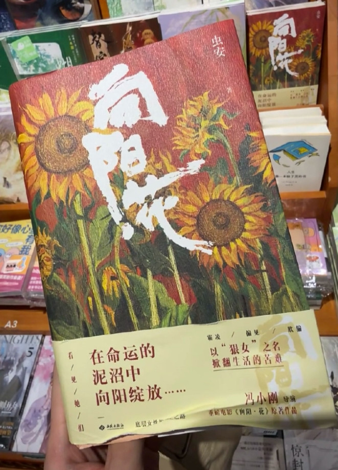 《向阳花》作者老婆是赵丽颖粉丝