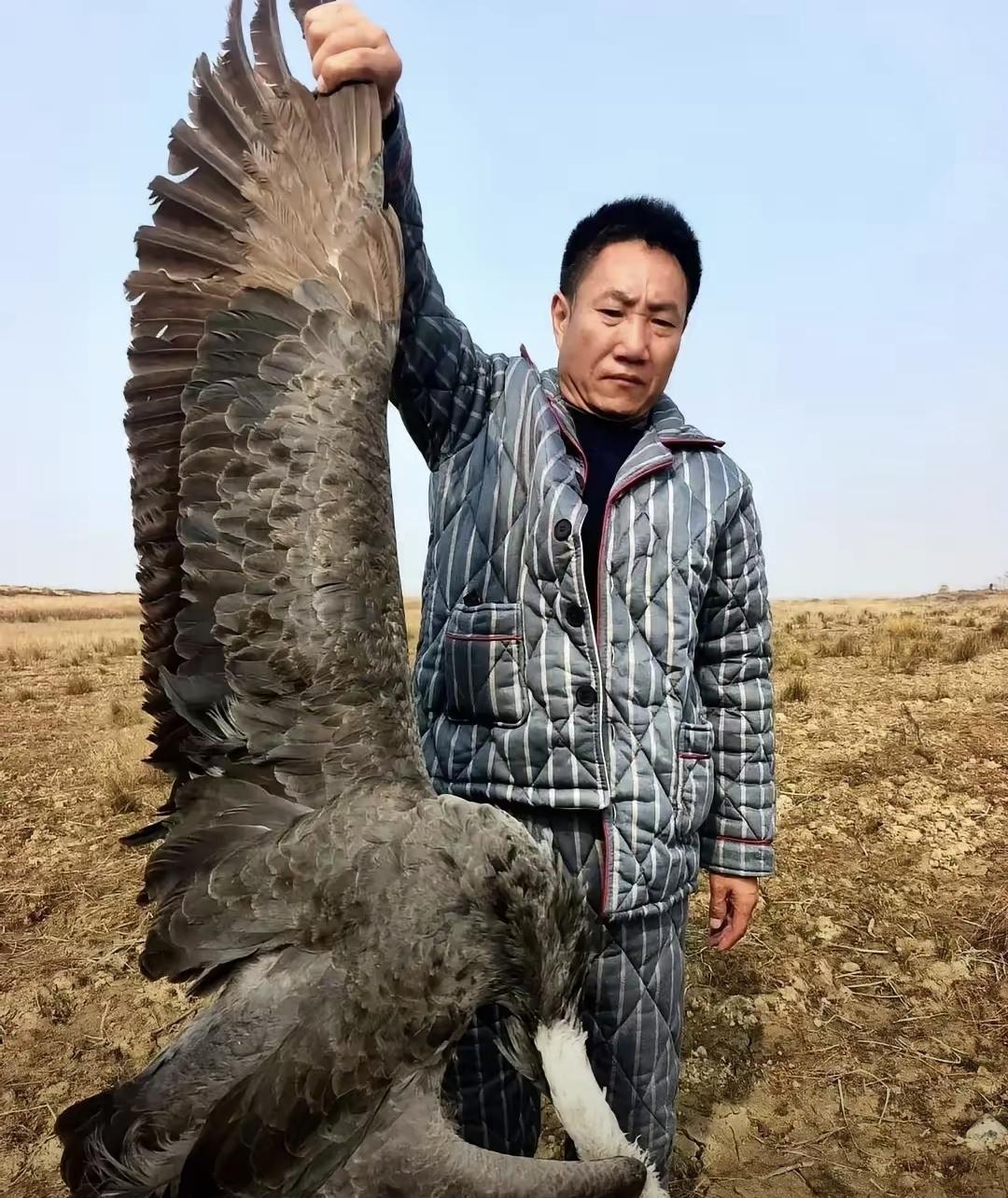 前几天晚上，几个志愿者在鄱阳湖巡逻，发现一包白色粉末。靠近一看是呋喃丹，旁边还有