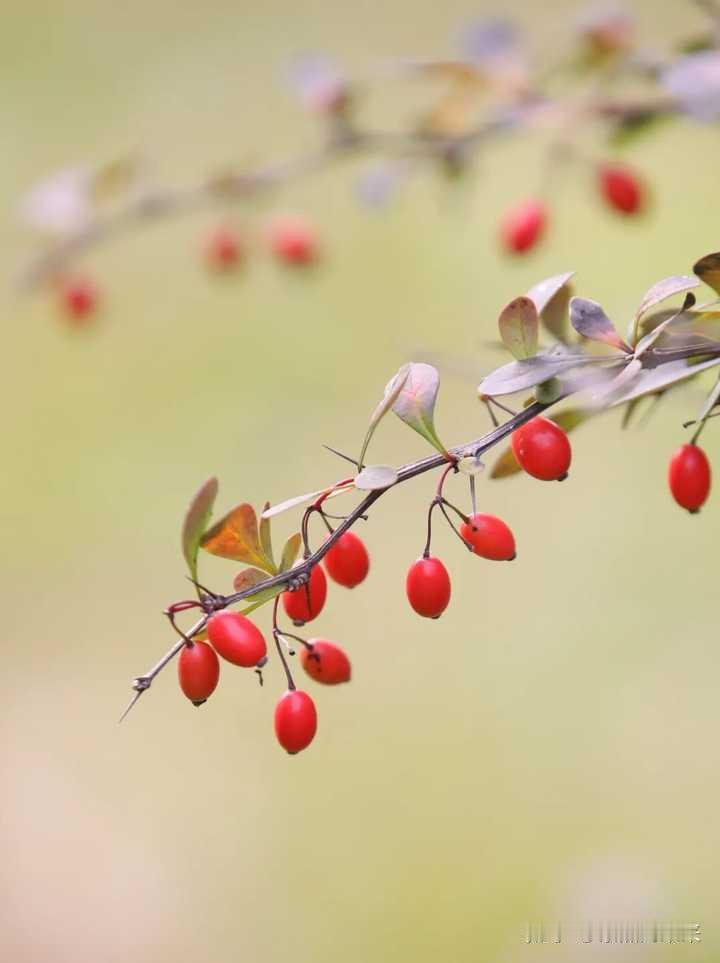 一个人经常爬山徒步，时间久了觉得非常无聊和孤独，要怎样缓解？徒步并不是简单的走