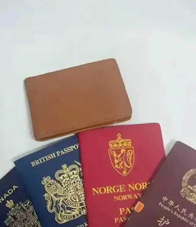 一个名叫安月的留学生，自称家里资产十位数。她八岁账户到账290万元，说是父亲在她