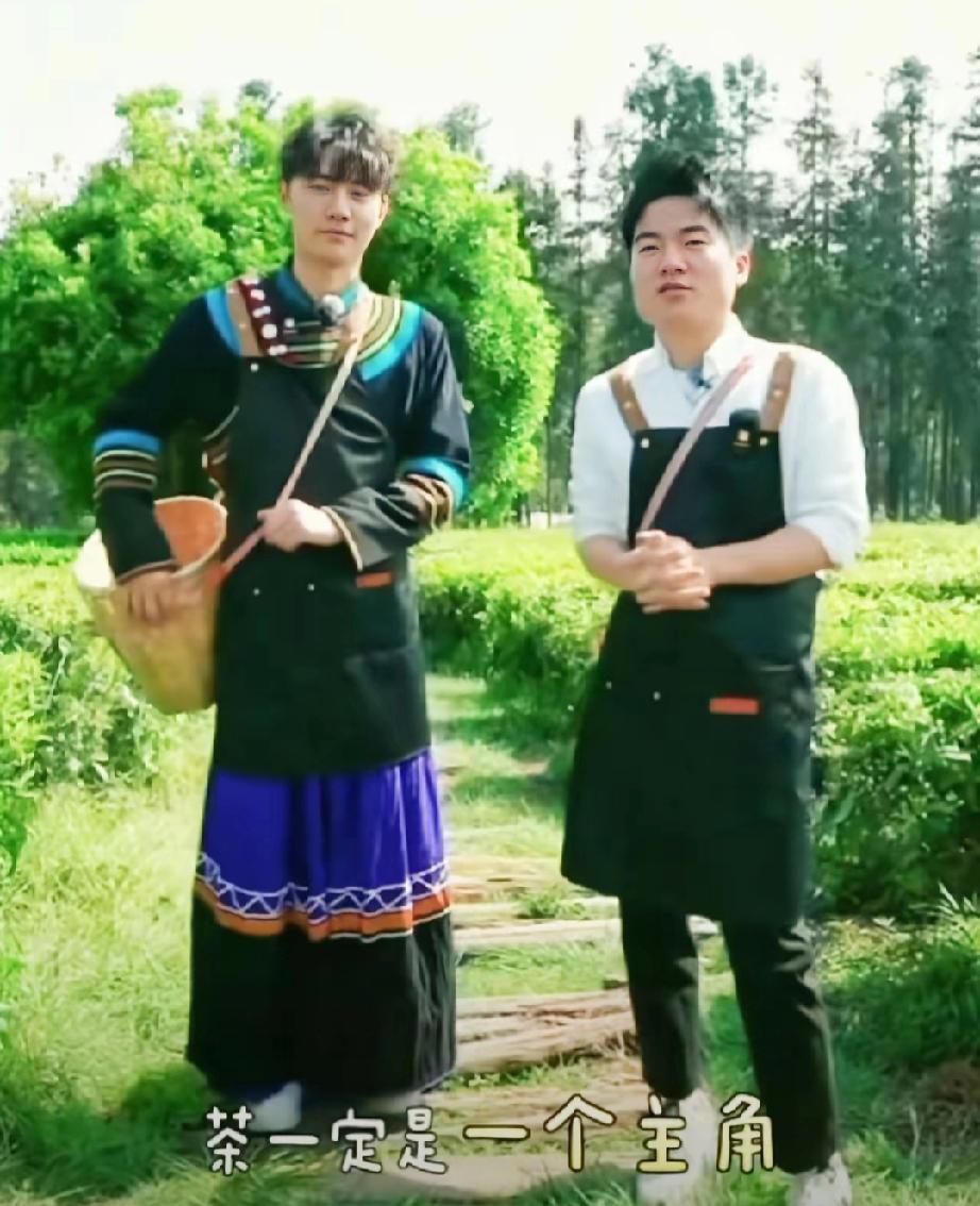 你敢信？一个直播团队去云南走了三天，结果把几个连旅行社都不常推的小城市，直接带成