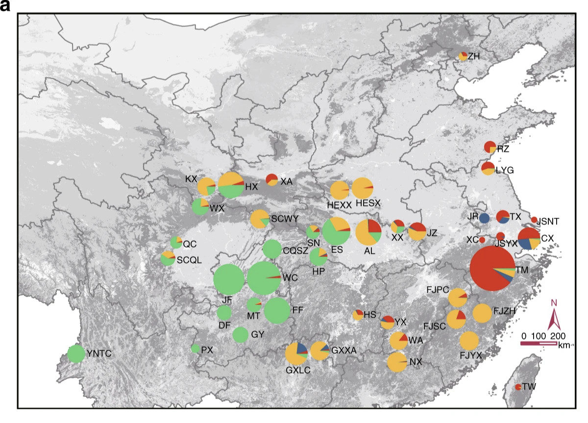 香蕉真的会灭绝吗压根不会的。¹老有一些基于简单的高中生物学知识的谣言。再比如，