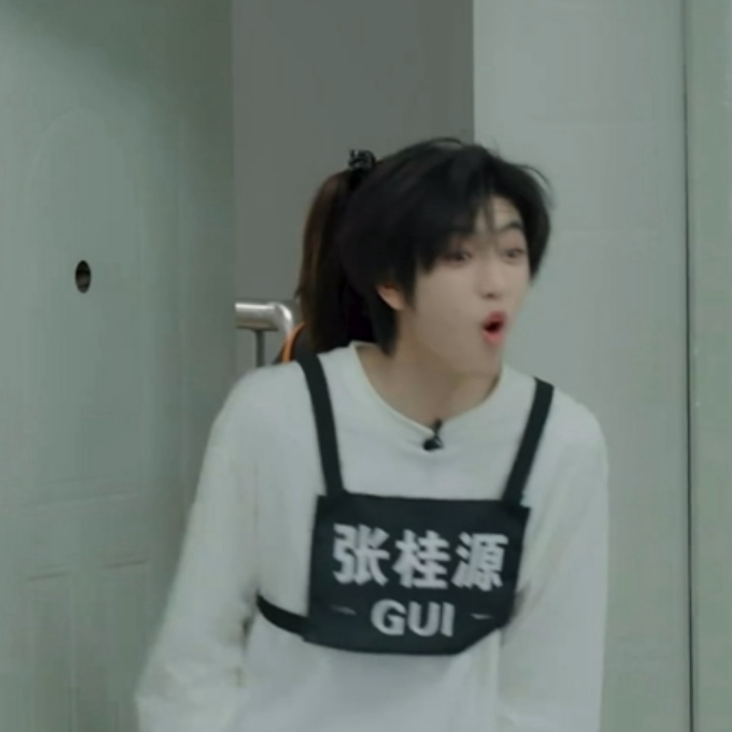 震惊狗
