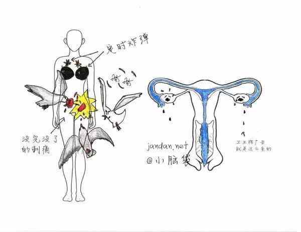 痛经到底有多痛, 图文详解, 男生们来体会下咯