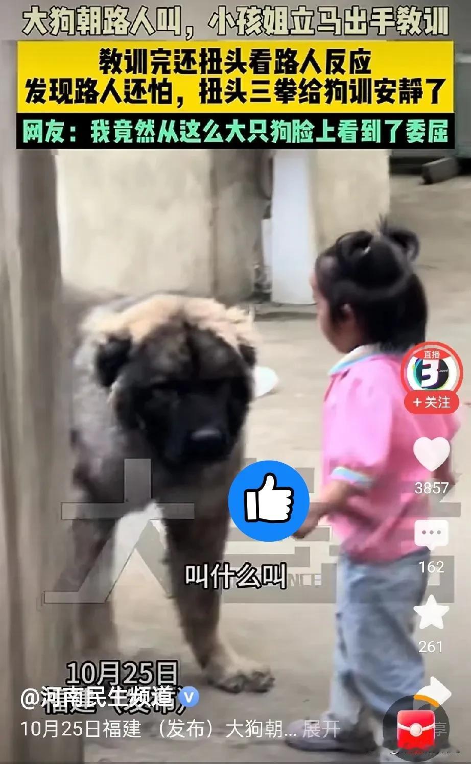 福建小女孩“教训”大狗走红！网友：狗脸满是委屈10月25日福建，发生了一件