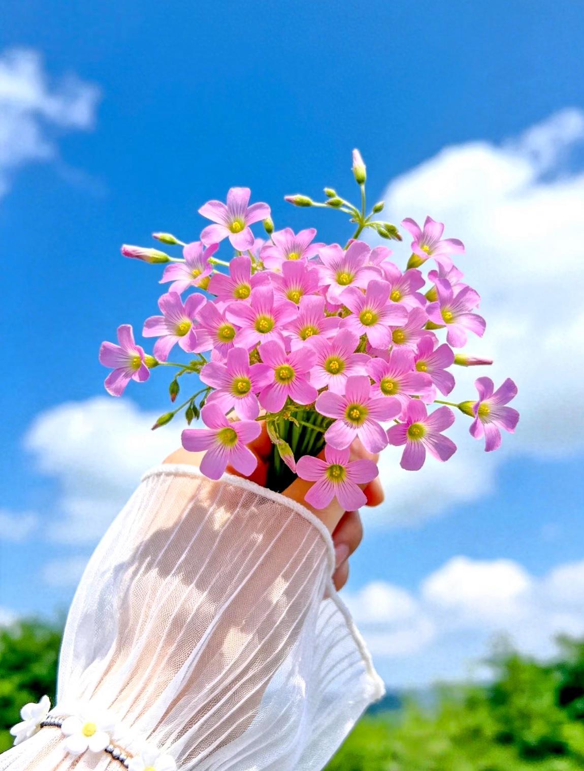 告诉你千万别瞧不起那每月1000多元的退休工资它真的能够你一个月的开销。