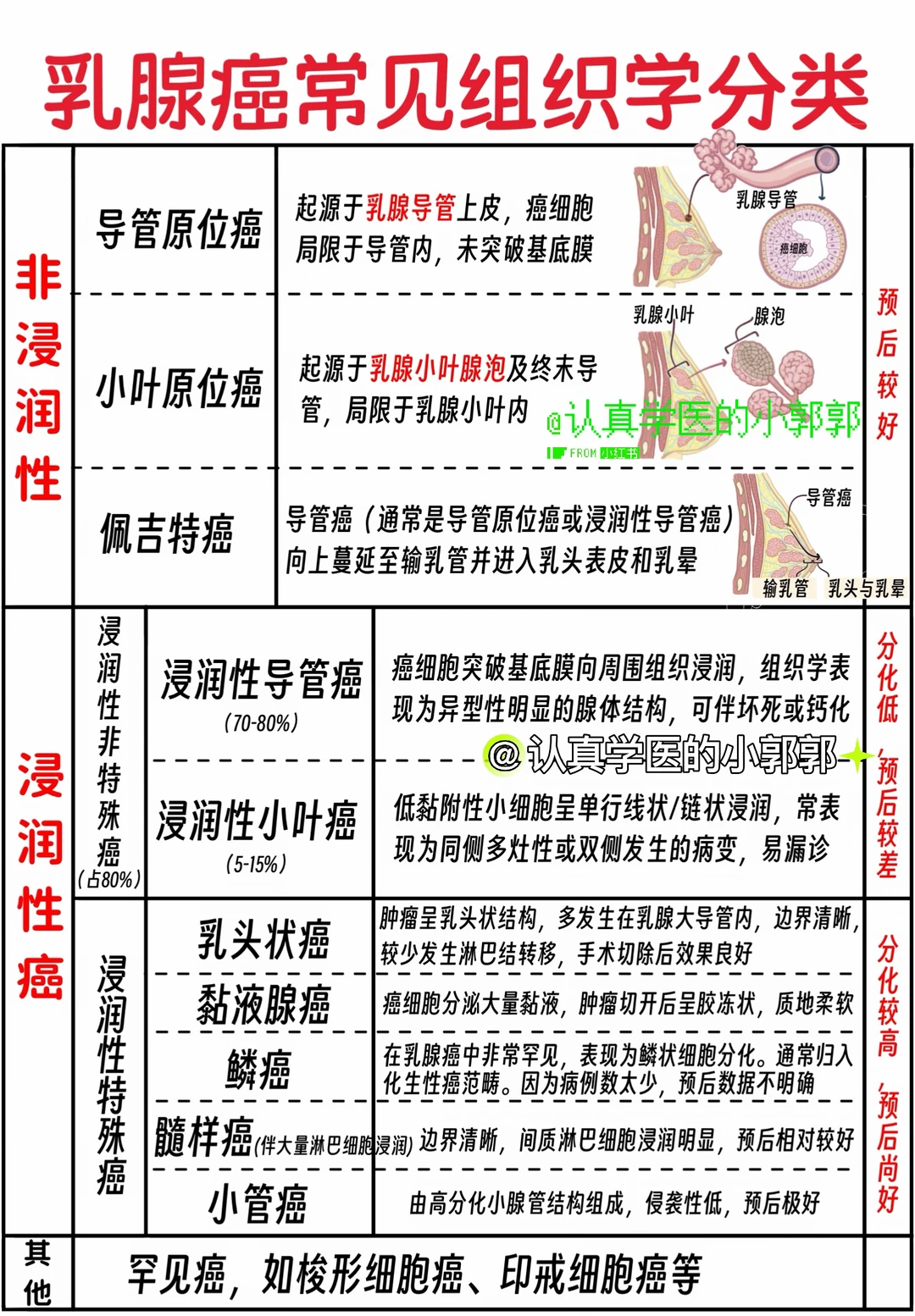 乳腺癌分类和内分泌治疗药物总结