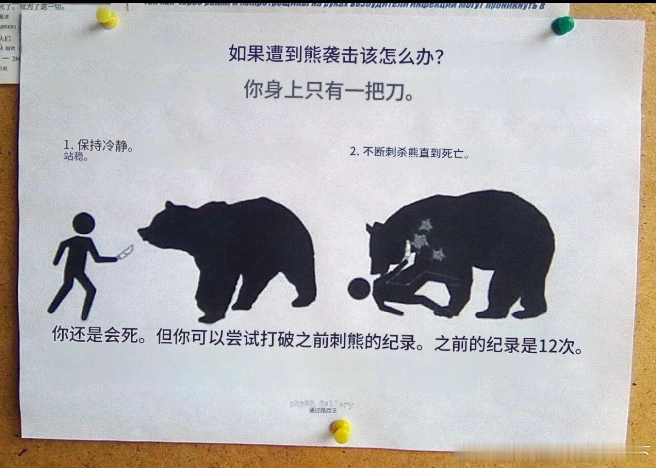 6569如果遇到熊袭击