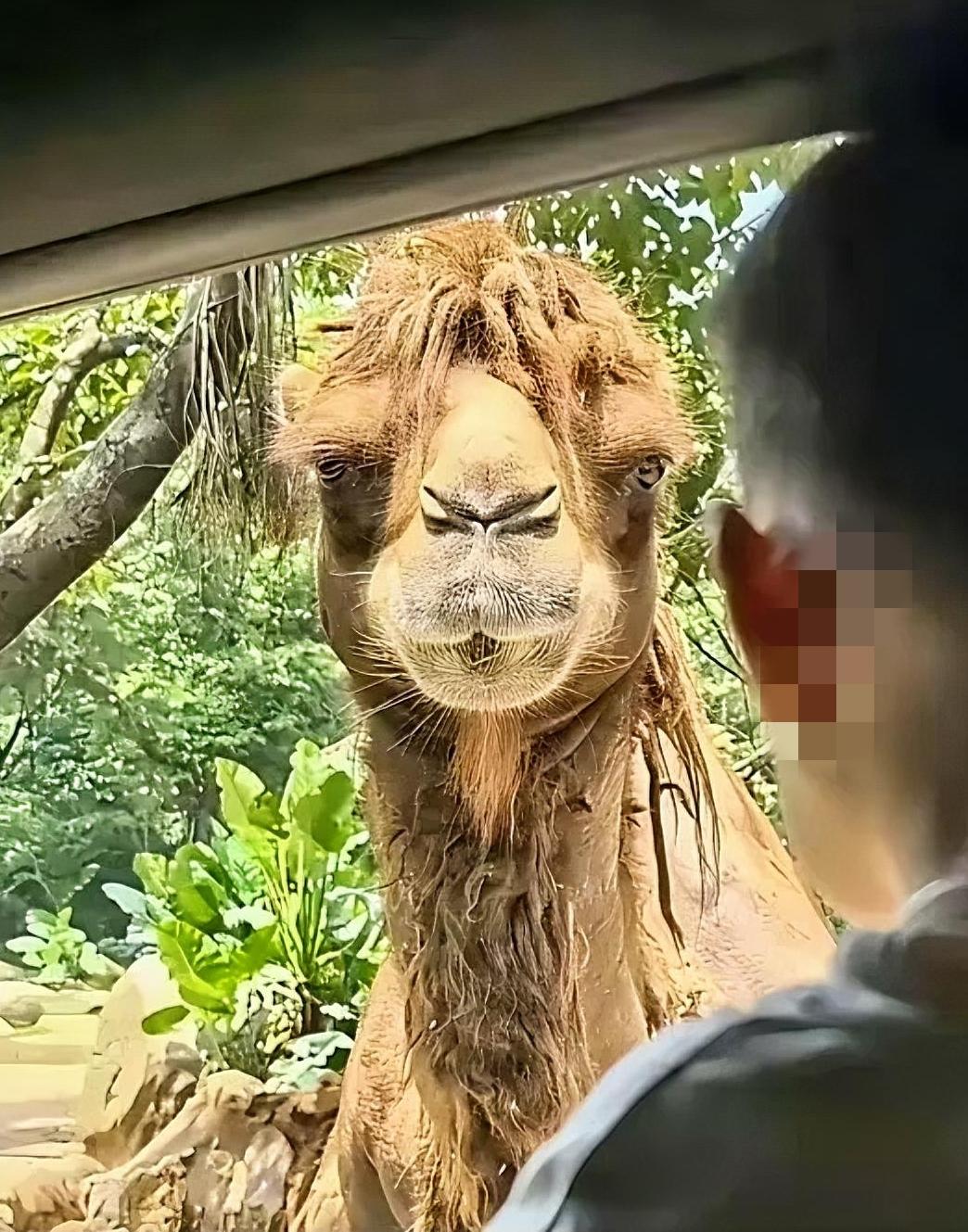 长得挺像某个明星的，一旦接受眼睛的设定再也回不去了。[捂脸哭]