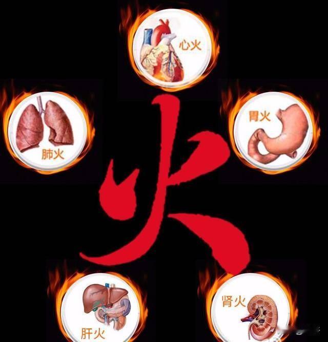 生活中随口一句“上火了”，其实藏着大讲究！心火、胃火、肝火、肺火、肾火，烧在不同