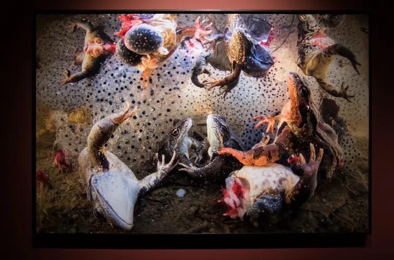 慌了！以色列全城拆摄像头，自己用过的阴招，如今怕被反噬家人们！中东局势又出