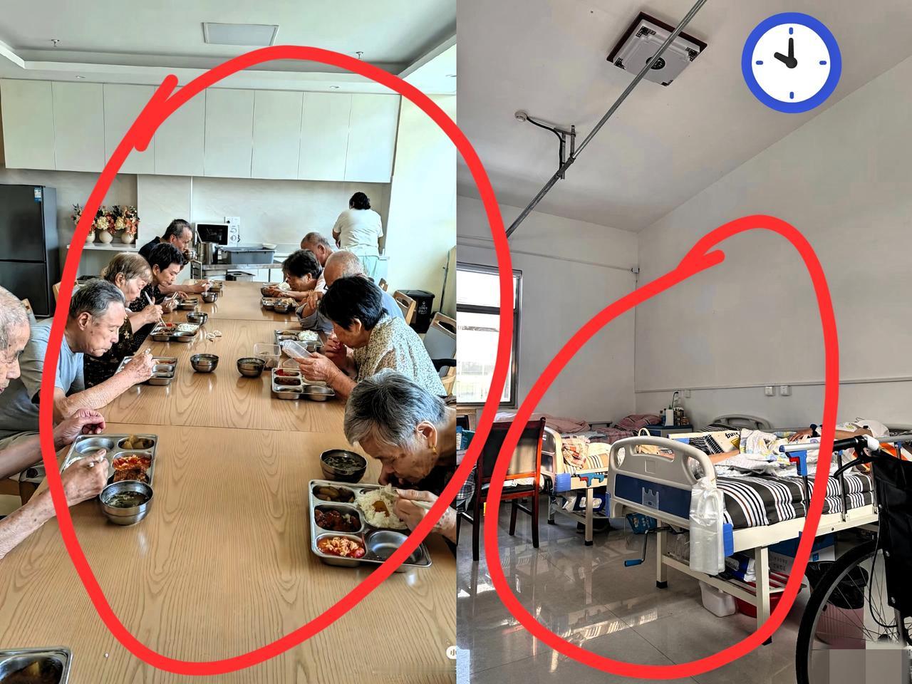 这下彻底出名了，不仅浙江，全国人民都知道了！​​浙江27岁女生直接搬去奶奶住的养