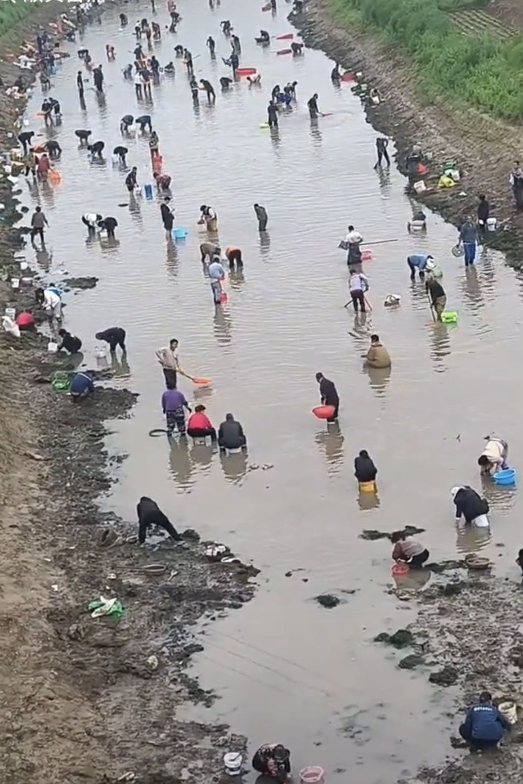 【河南一地随后，大皖新闻记者联系到浚县新镇镇政府一名相关负责人。对方告诉大皖新