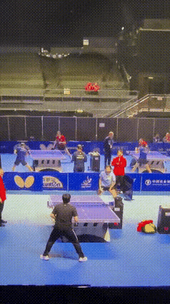 陈熠被重点培养了？邱贻可和马琳为何轮番指导陈熠？昨天孙颖莎一直接不好金娜英的