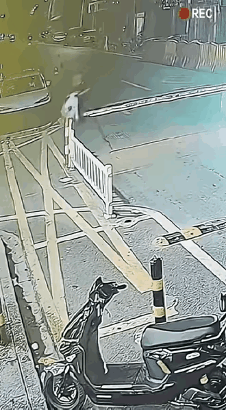 这个太揪心了，这下子他可能就这样了。