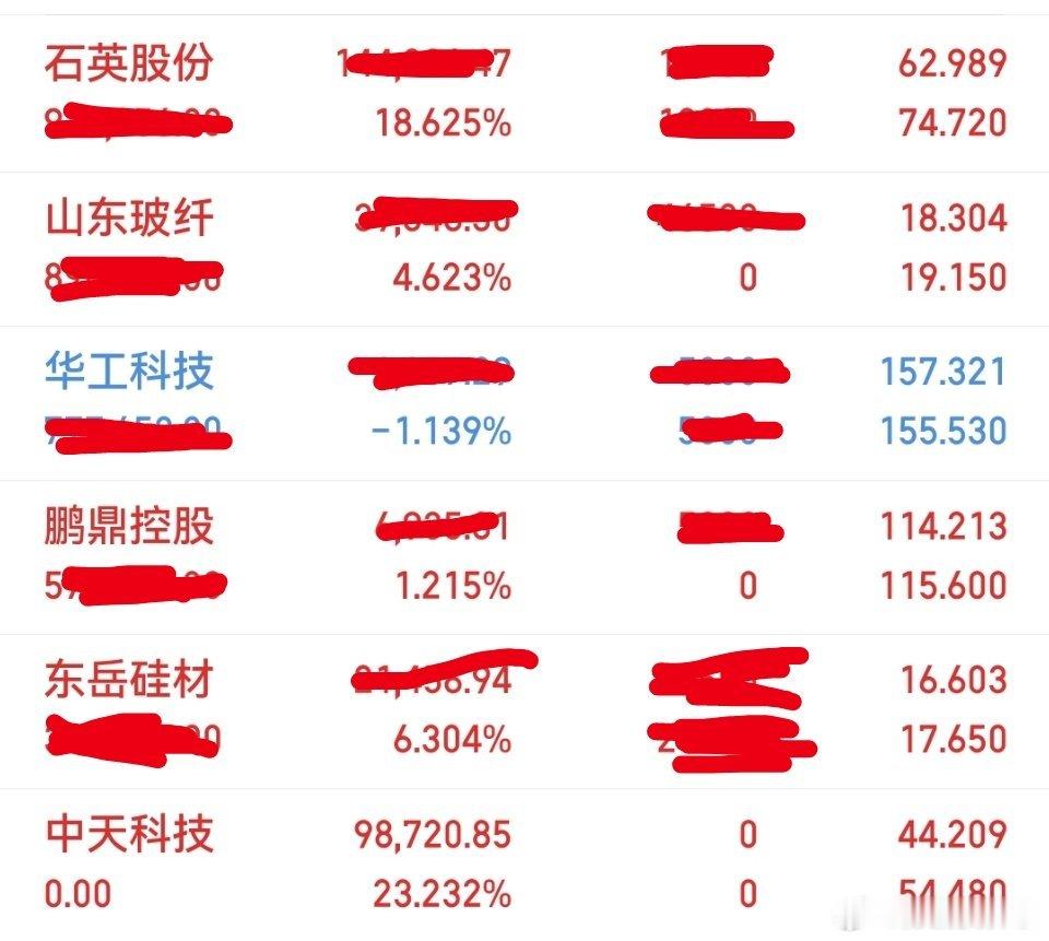 今日操作中天科技被洗出来了目前持有：山东玻纤，东岳硅材，华工科技，石英股份，鹏鼎