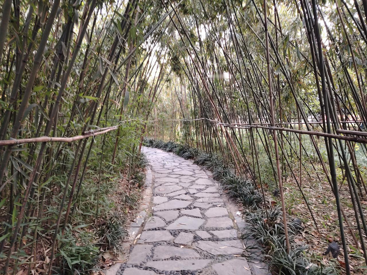 领导为何不喜欢两人一起干活？我和妻子同在一座公园从事保洁工作，领导为我们划分了