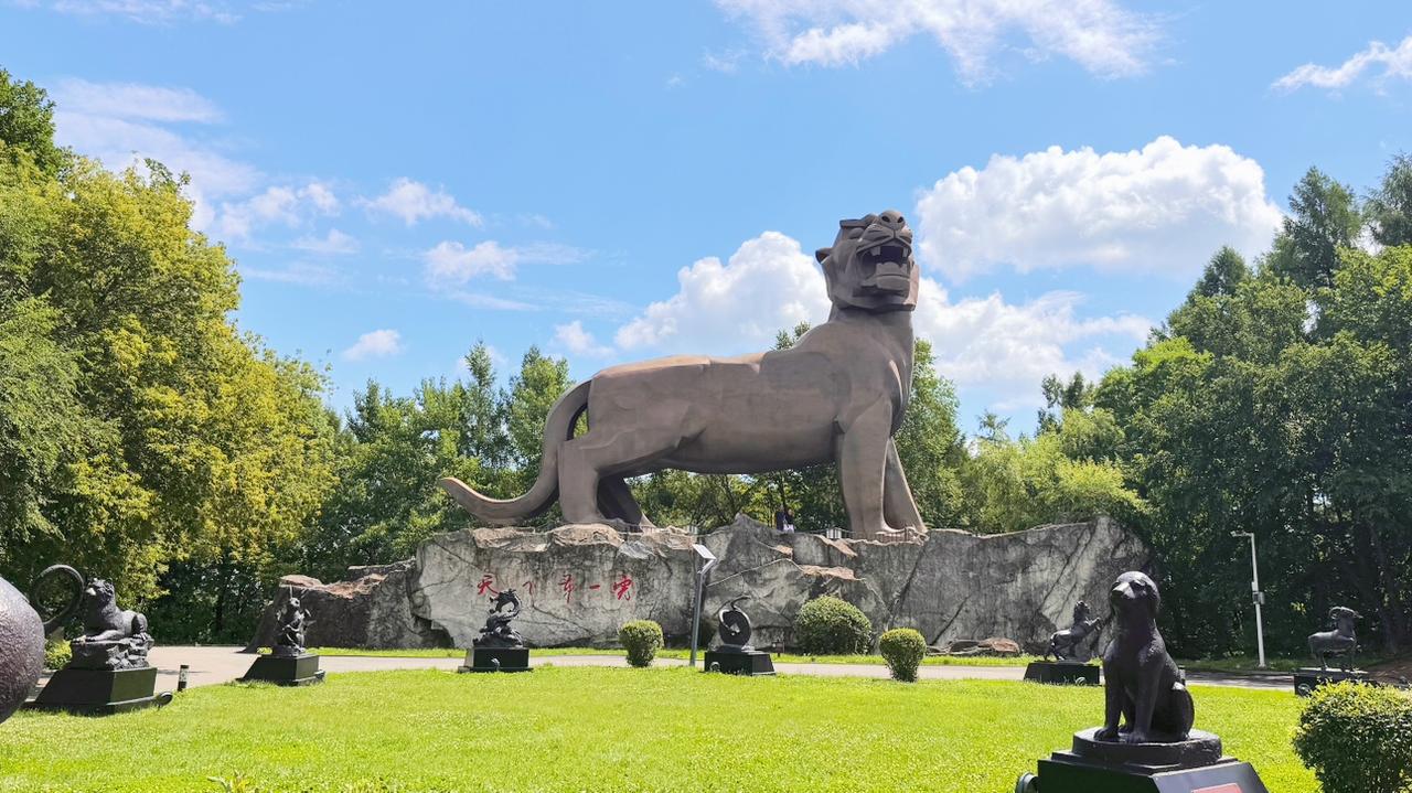7月16号自驾331、内蒙、黑龙江吉林辽宁（十七）今天上午打卡虎头景区，下午