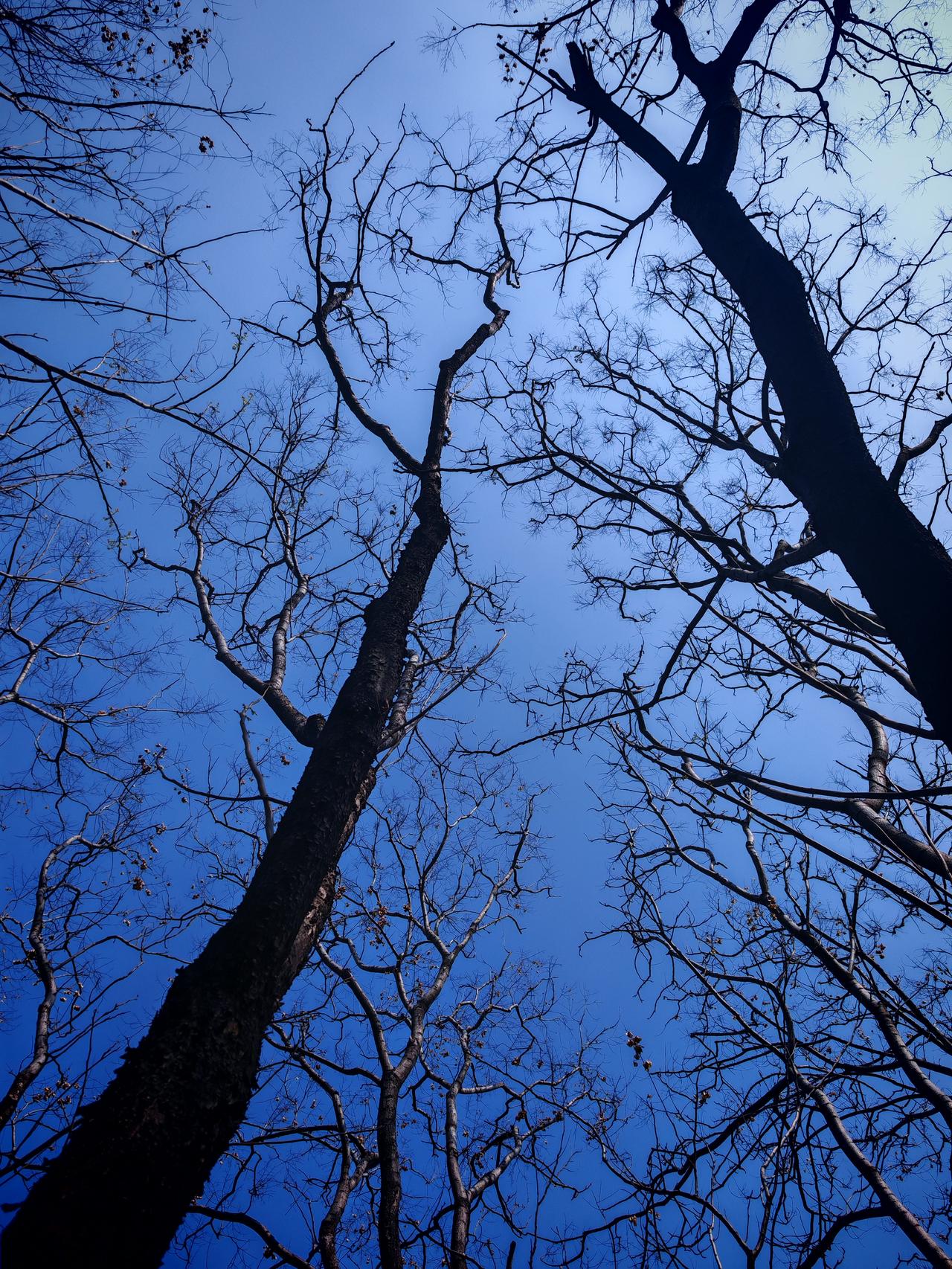 蓝蓝的天空，总能让人心情瞬间变好。就像上次去海边，那片湛蓝的天空与大海连成一线，