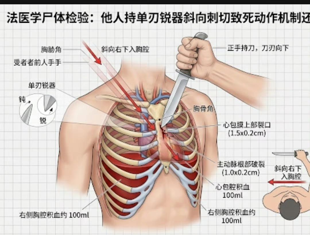 本想借这部电影为女罪犯洗白，不料却可能惹上更大的麻烦。有大博主直接点明：这种