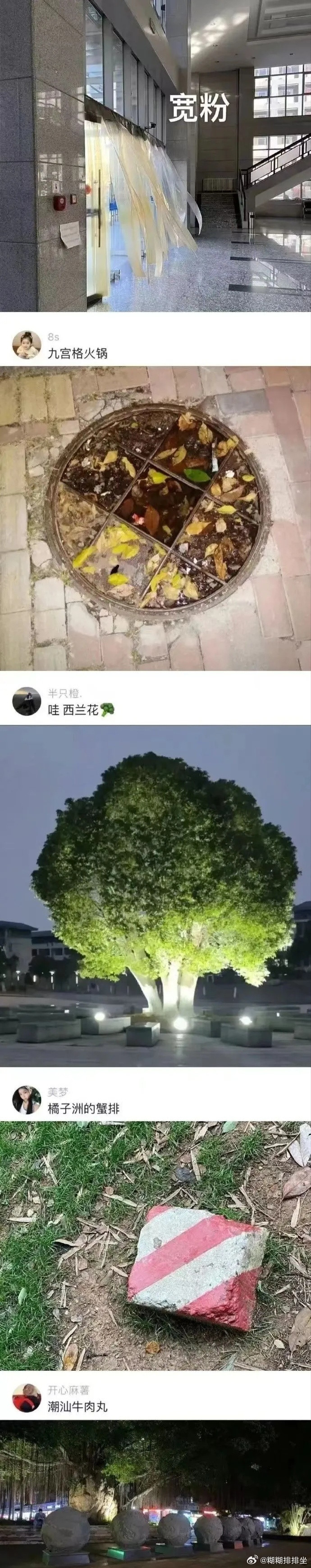 这就是吃货眼中的世界