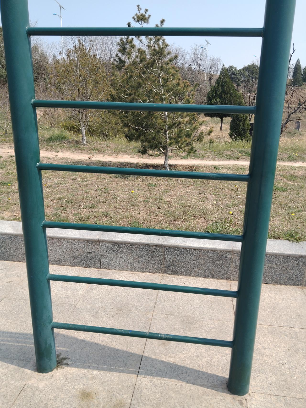 你抬腿能有多高？——昨天，公园里一个阿姨，六十几了，抬腿锻炼。一下子伸到梯子的