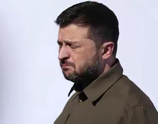 泽连斯基心都凉了！在匈牙利国会选举中获胜的蒂萨党主席毛焦尔表示:乌克兰加入欧