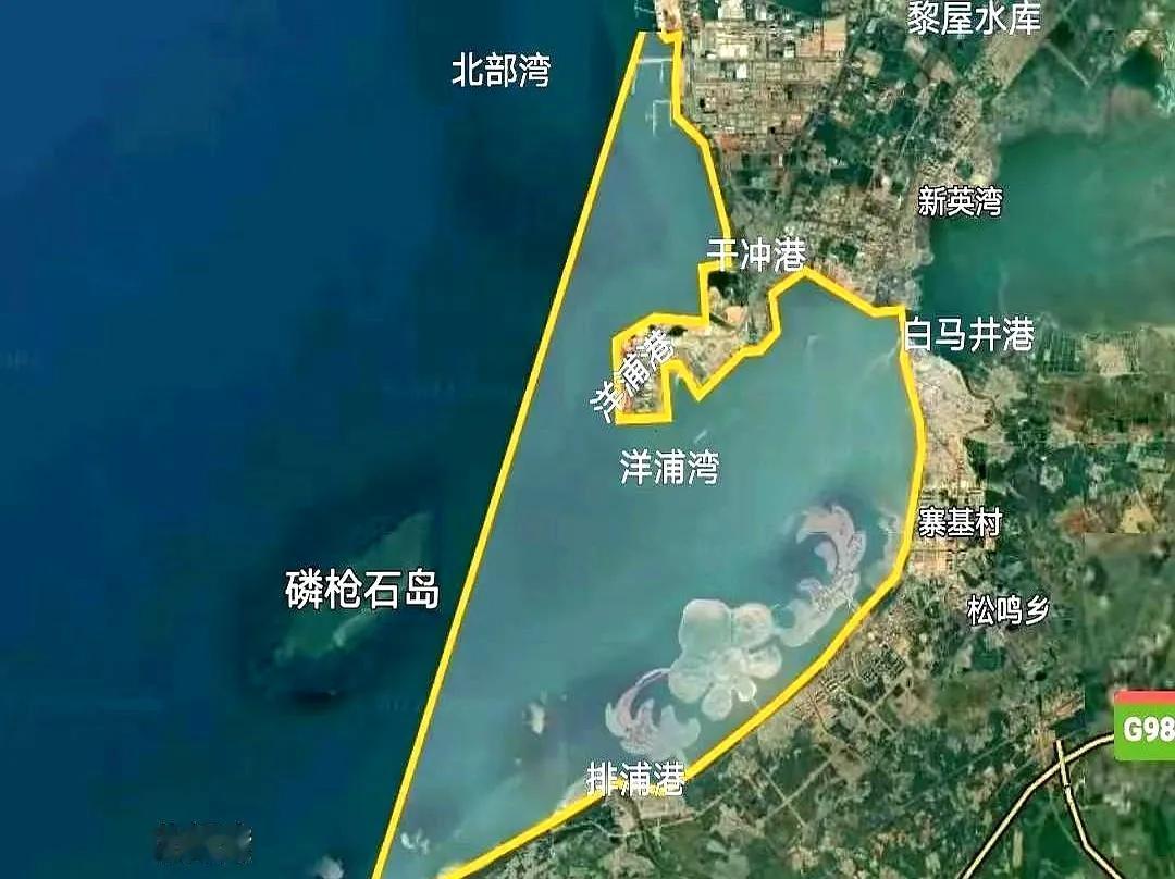 看着洋浦港icon这步棋，真的脊背发凉。这哪是拍脑袋的基建？分明是国家队五六