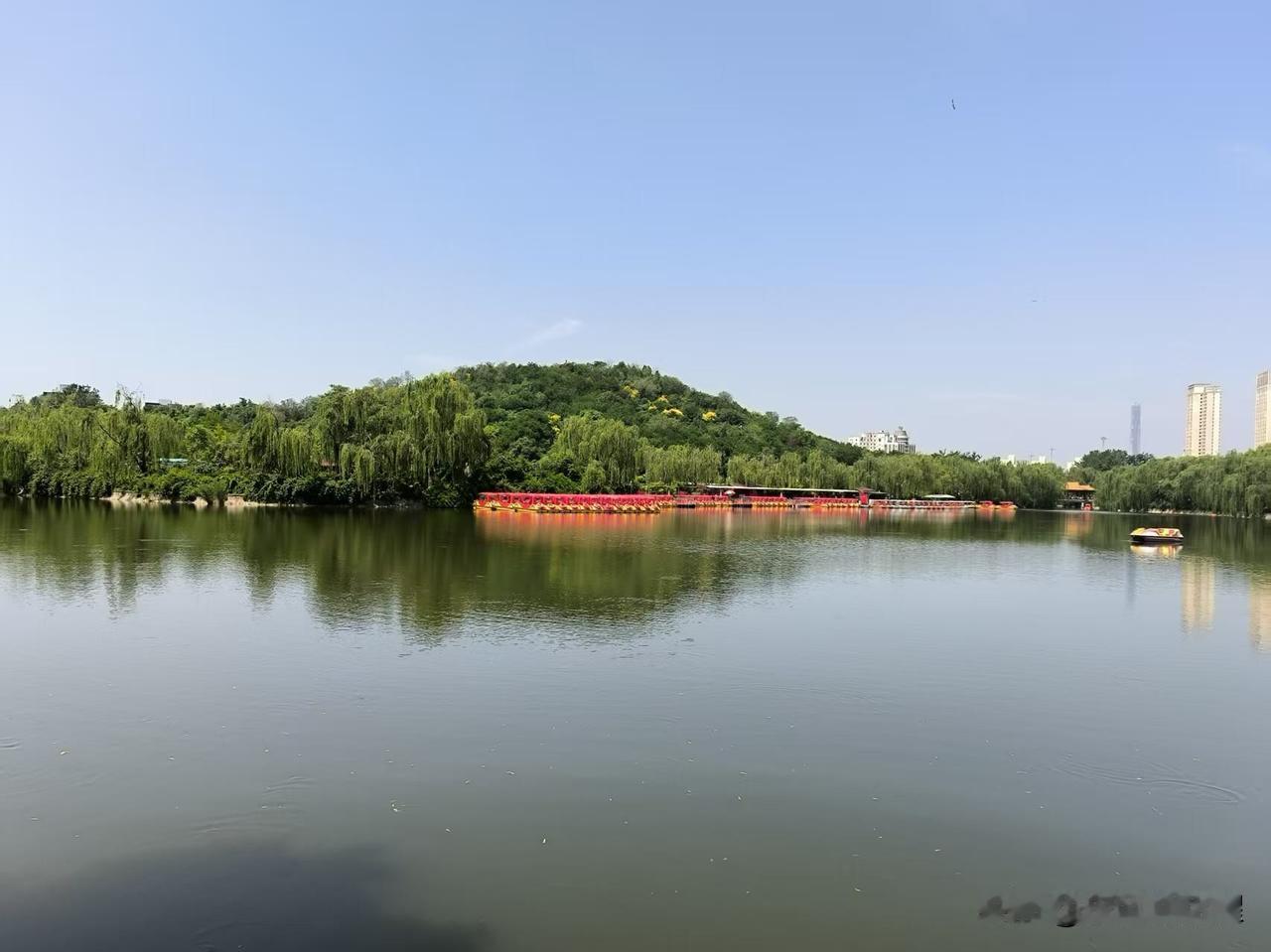 昨天一早就去南翠屏公园了，遛了一圈就往山上走，登了会台阶，在木栈道那待了会，山上
