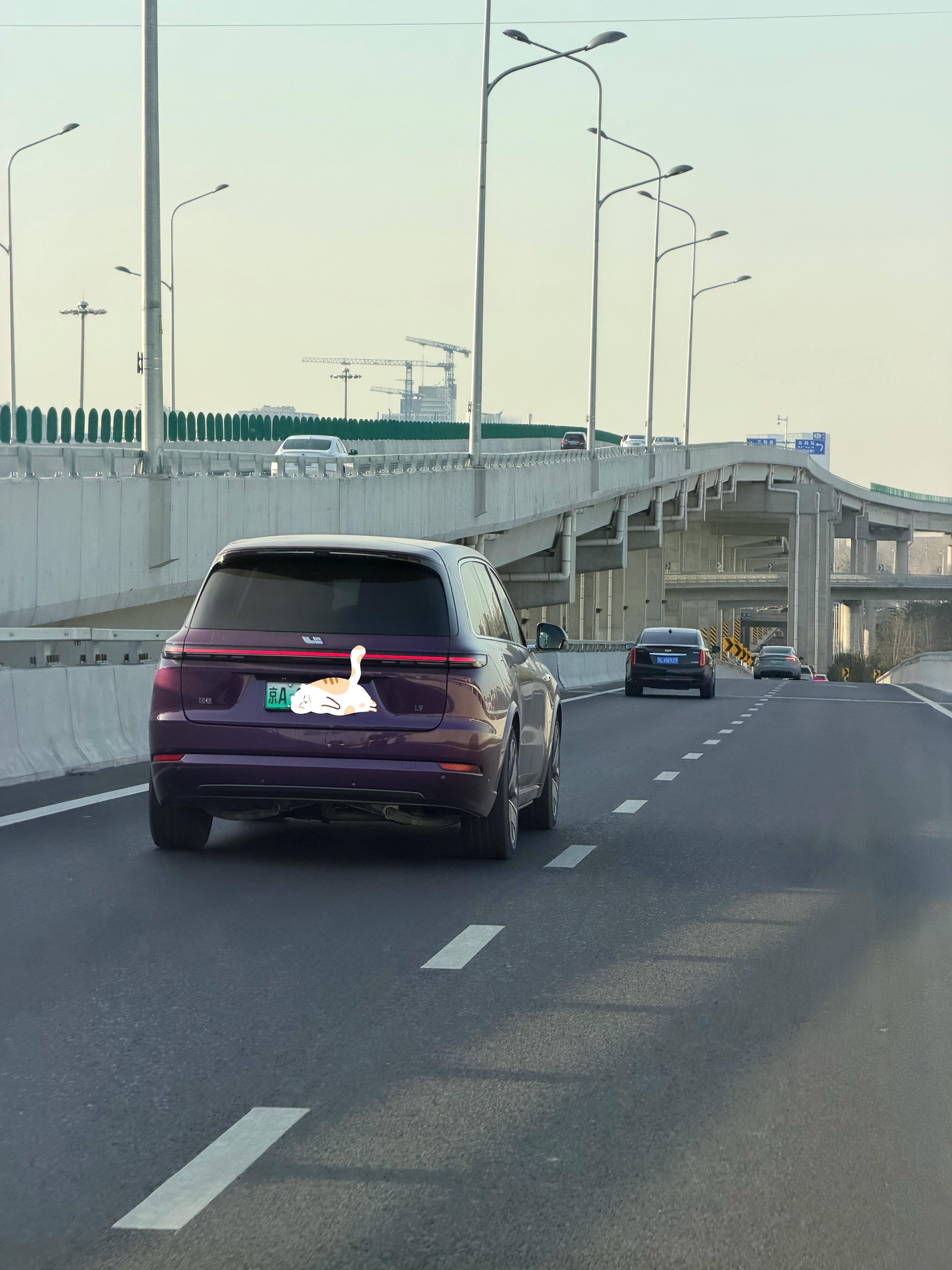 这个紫色的L9还是帅，当时在绿色和紫色上犹豫了挺久。理想l9