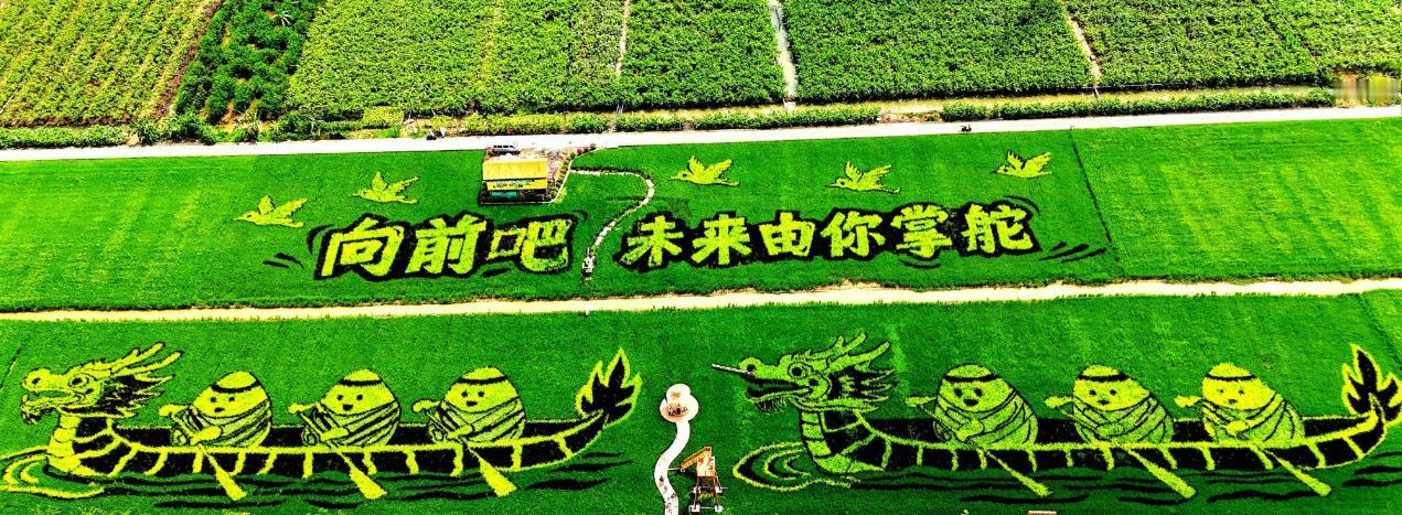 【南沙横沥创意稻田画进入最佳观赏期！速来打卡！】位于南沙横沥镇群结村的创意稻田画