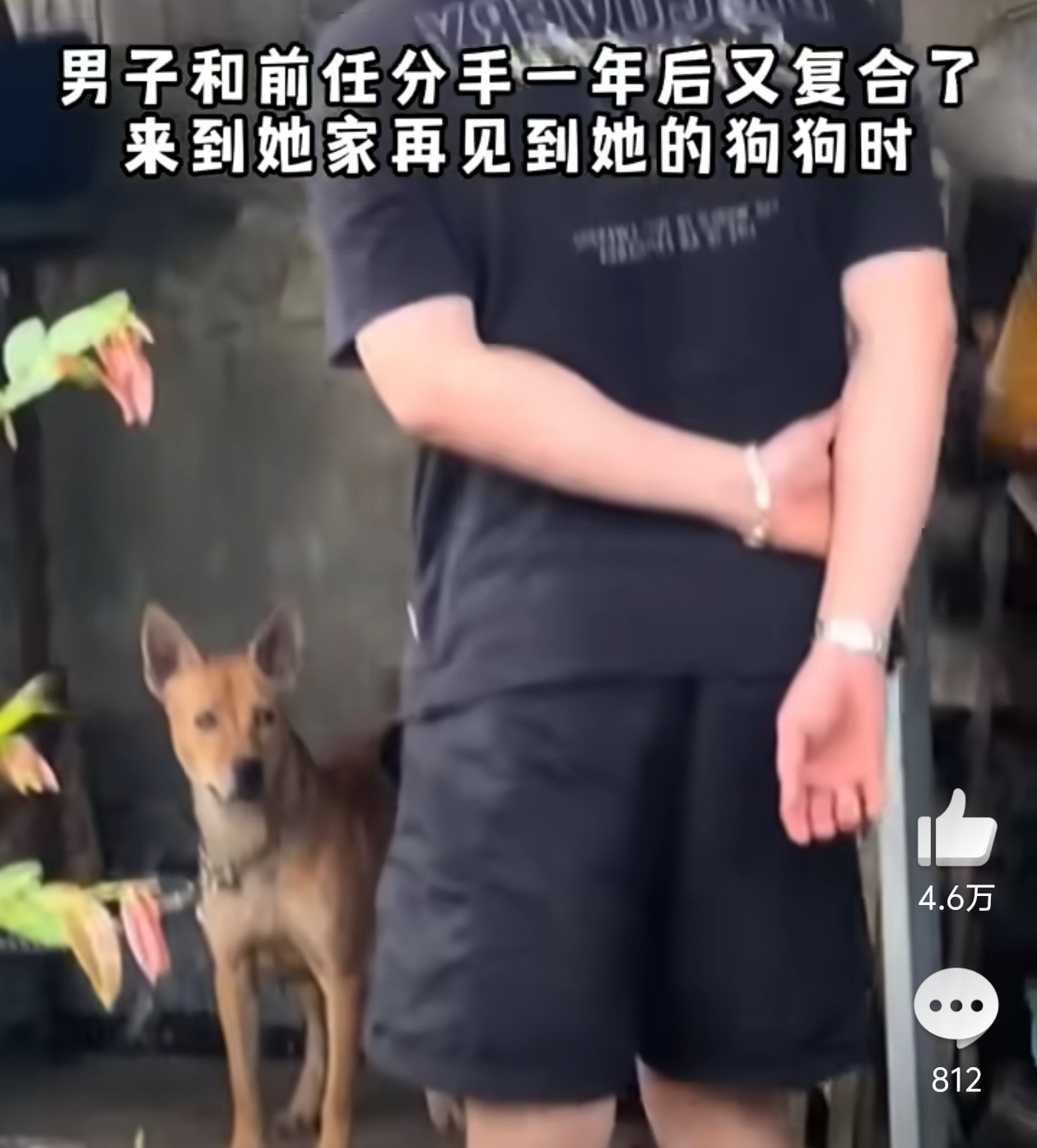 分手1年复合狗狗的反应狗狗这反应，吊打现在各种流量小鲜肉演员，有些流量明星出道多
