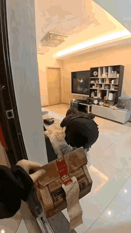 这种段子就别拍了