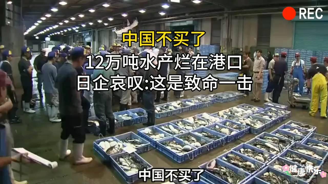 12万吨水产烂在港口，日企哀叹致命一击！