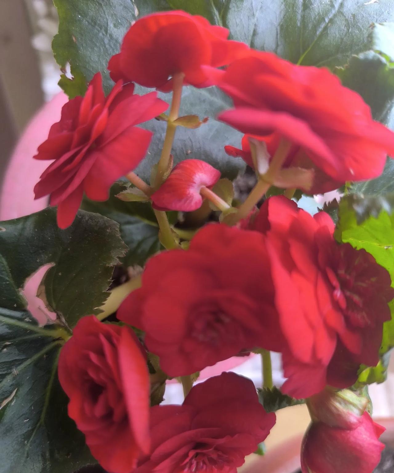 有的人虽然长的人模人样的但他骨子里却不是人一肚子坏水坏事做绝无恶不