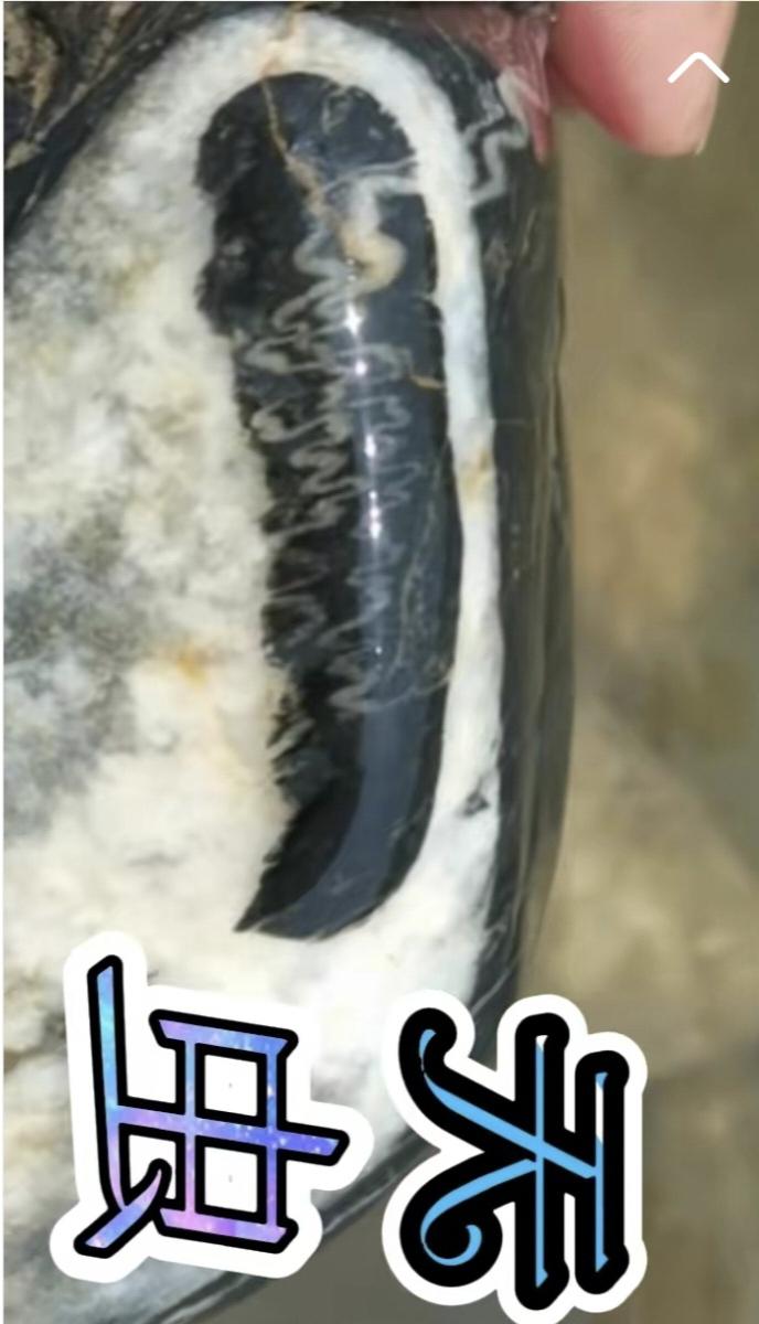 纯天然奇石画面石户外捡石好东西一起分享蚕