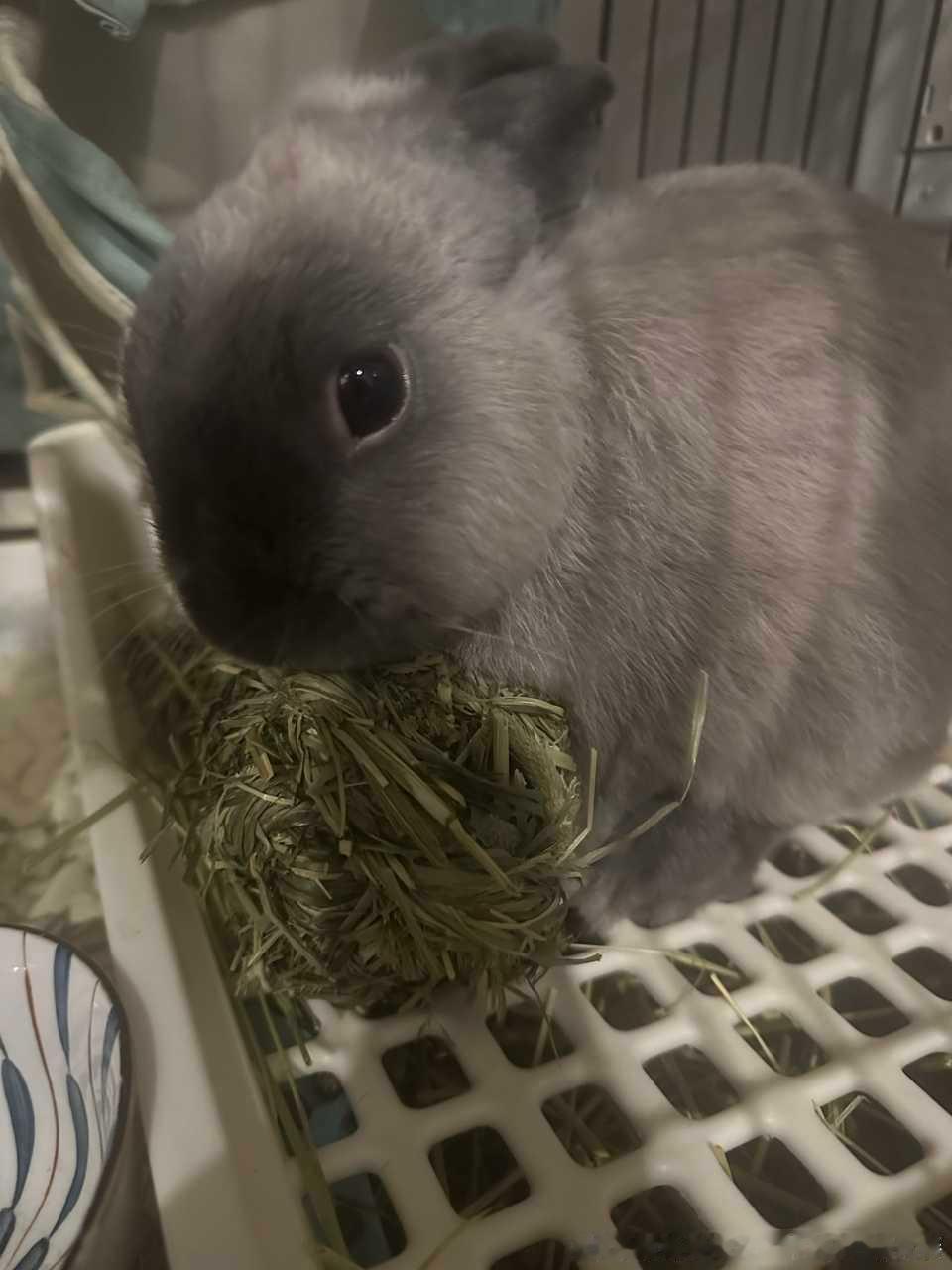 14655🐇【好吃爱吃】